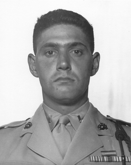 Pedro A. del Valle